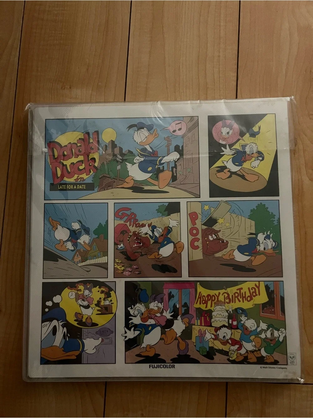 Extremely rare New Tokyo Disneyland Fujicolor photo album Large Donald Duck